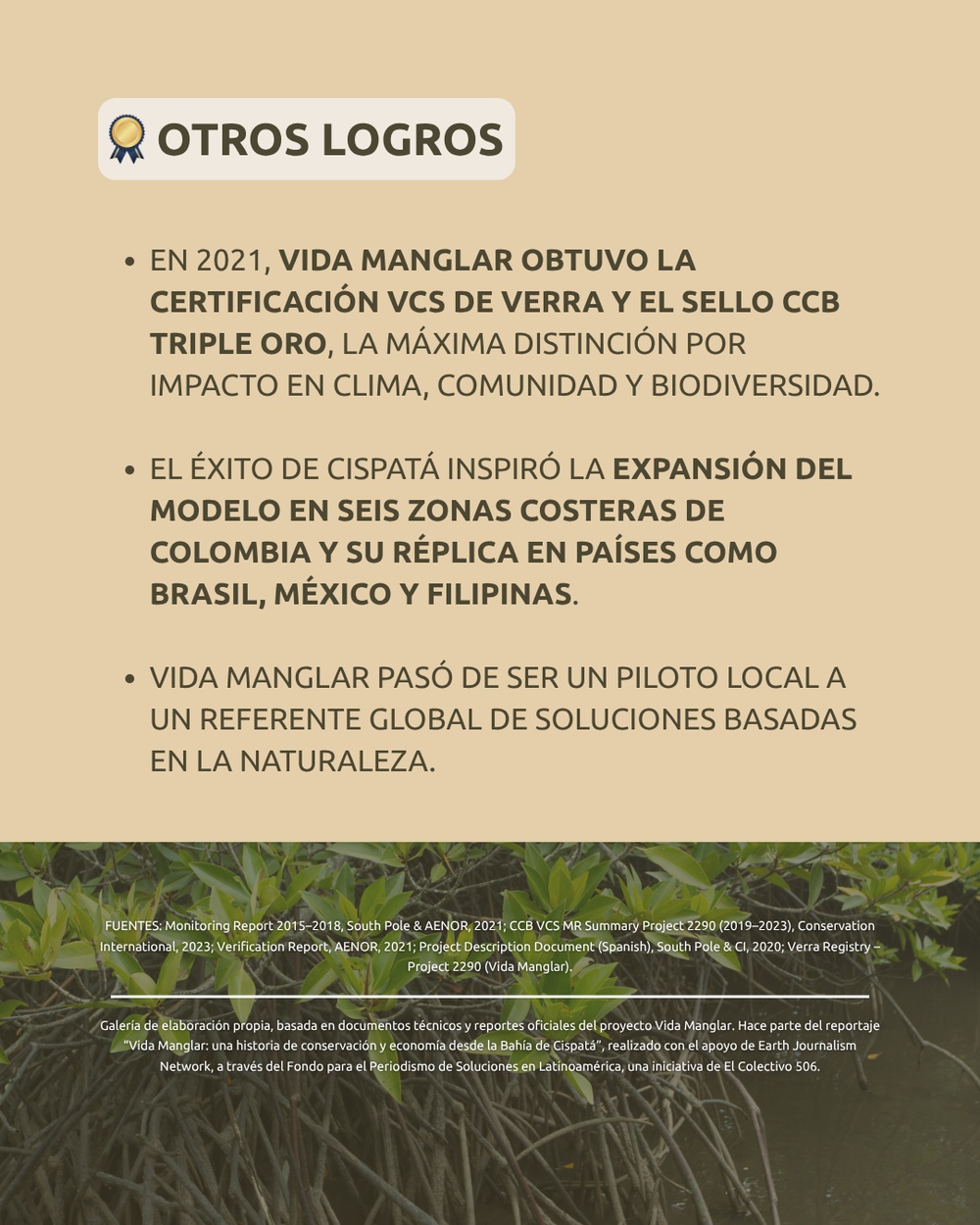 Slide 6 infografía 3